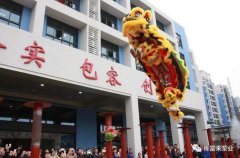 醒狮贺岁，BOB官方在线官网-BOB(中国)2019年开工大吉